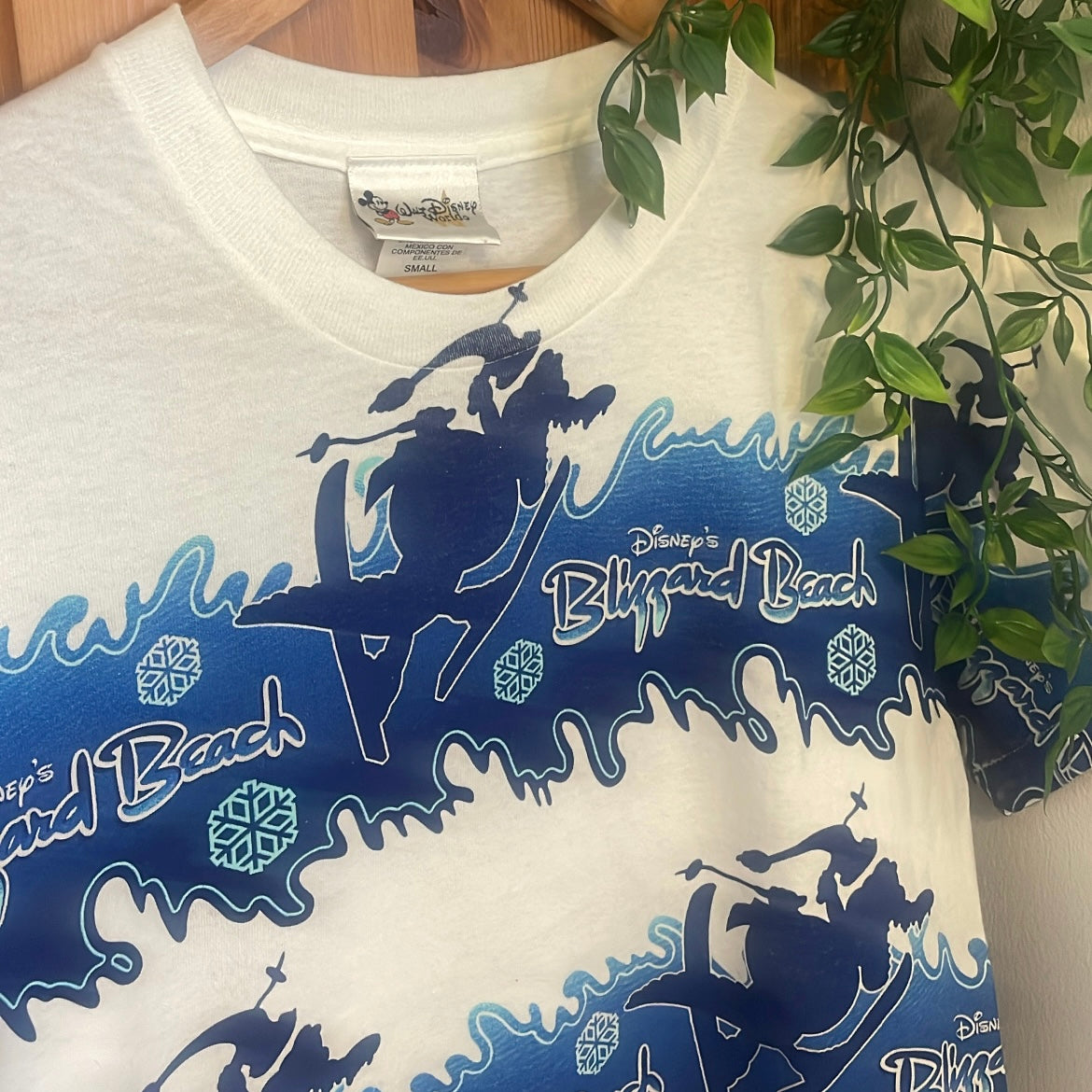 Disney Blizzard Beach Top
