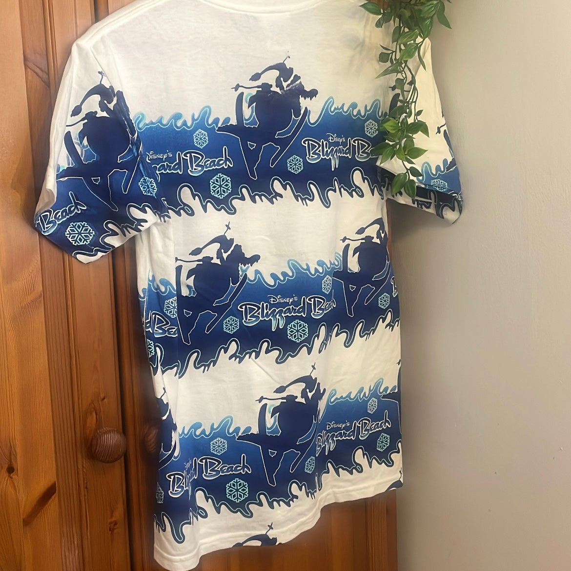 Disney Blizzard Beach Top