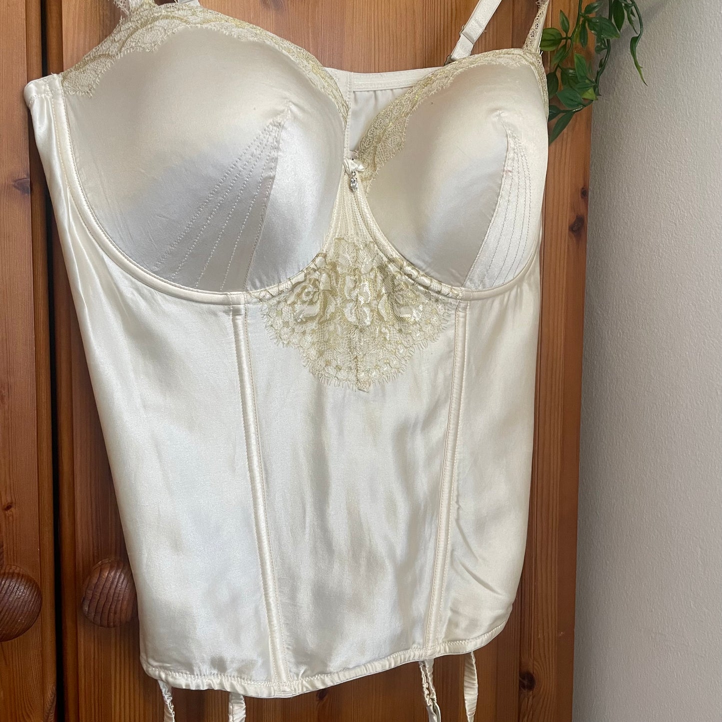 Silky Corset Bra