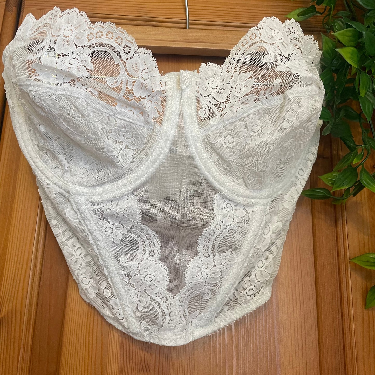 Mesh & Lace Corset / Bra