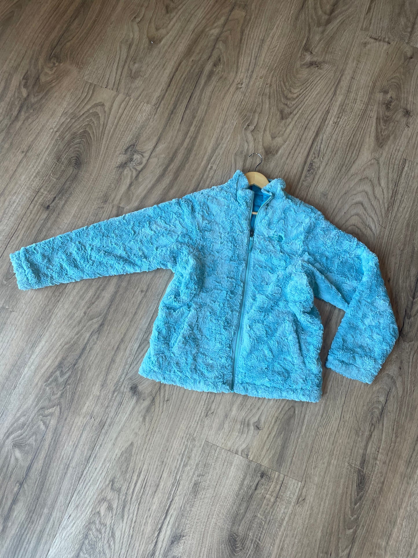 Reversible North Face coat