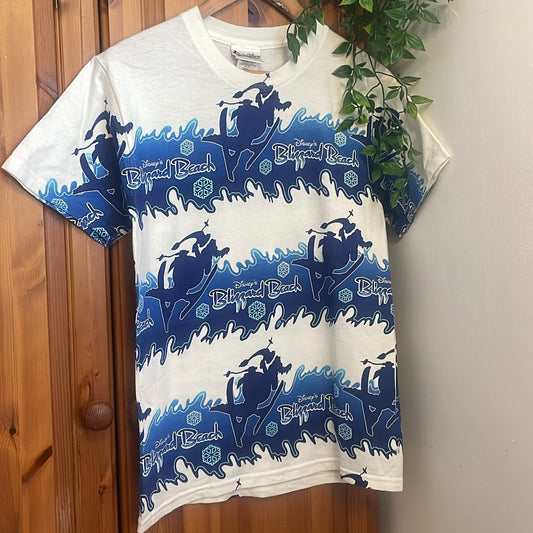 Disney Blizzard Beach Top